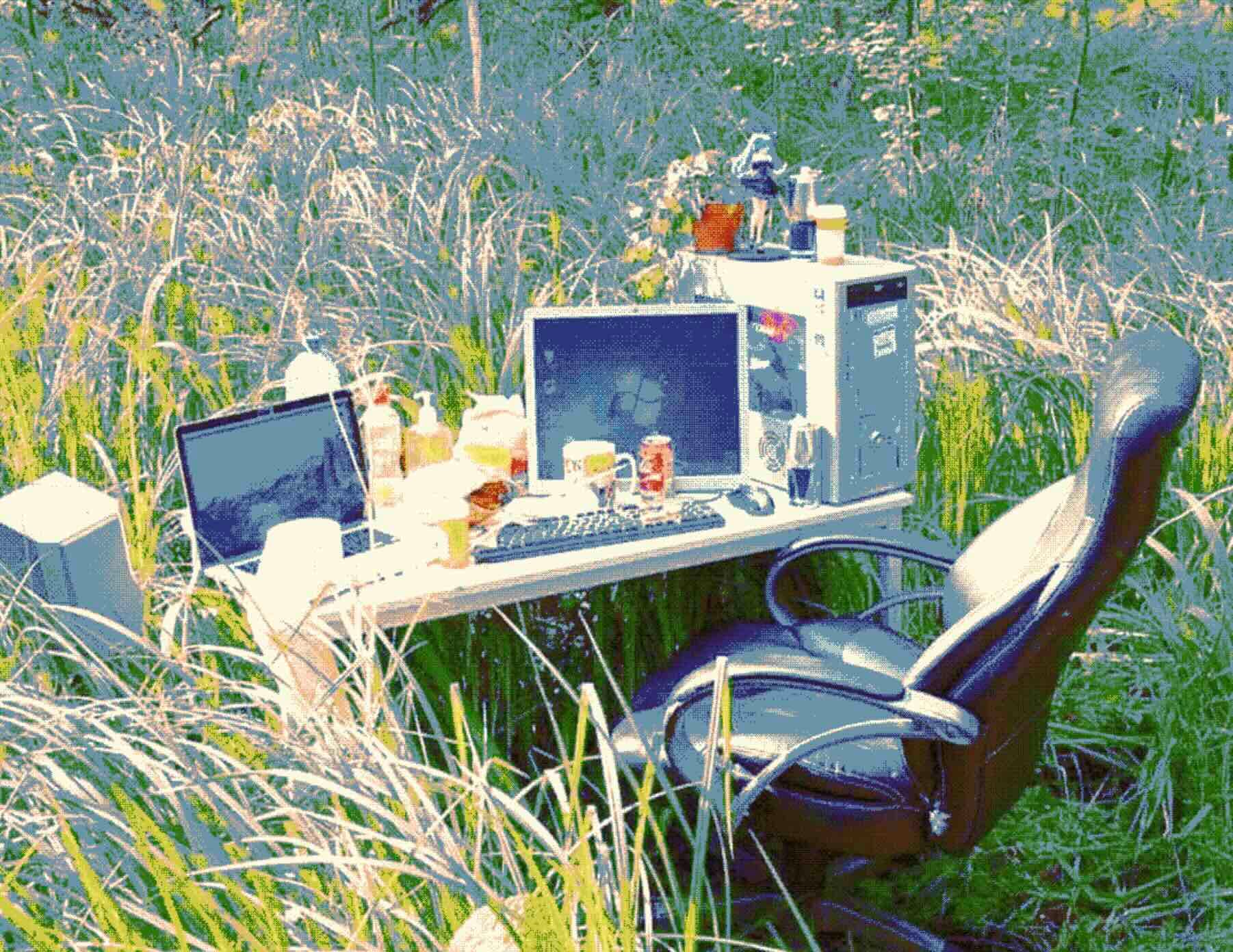 CityLAB Summer School 2025: City.Forest.Lab.